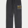 Baggy University of Southern California Trojans grafisk joggebukse