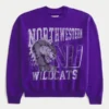 Boxy Northwestern University Wildcats grafisk crew-genser