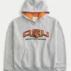 Boxy Oregon State University Beavers grafisk hettegenser