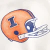 Boxy University of Illinois Fighting Illini grafisk hettegenser