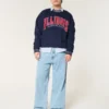 Boxy University of Illinois Fighting Illini Graphic Crew Sweatshirt