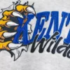 Boxy University of Kentucky Wildcats grafisk hettegenser