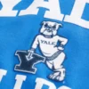 Boxy Yale Bulldogs grafisk hettegenser