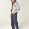 Boxy Zip-Up University of Michigan Wolverines grafisk hettegenser