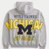 Boxy Zip-Up University of Michigan Wolverines grafisk hettegenser
