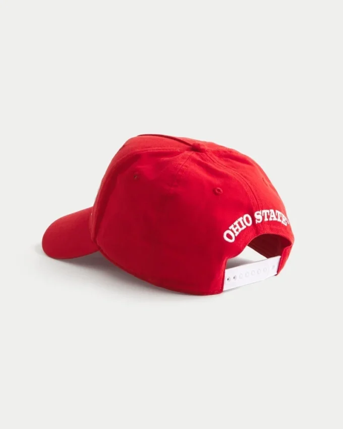 The Ohio State University Buckeyes grafisk hatt